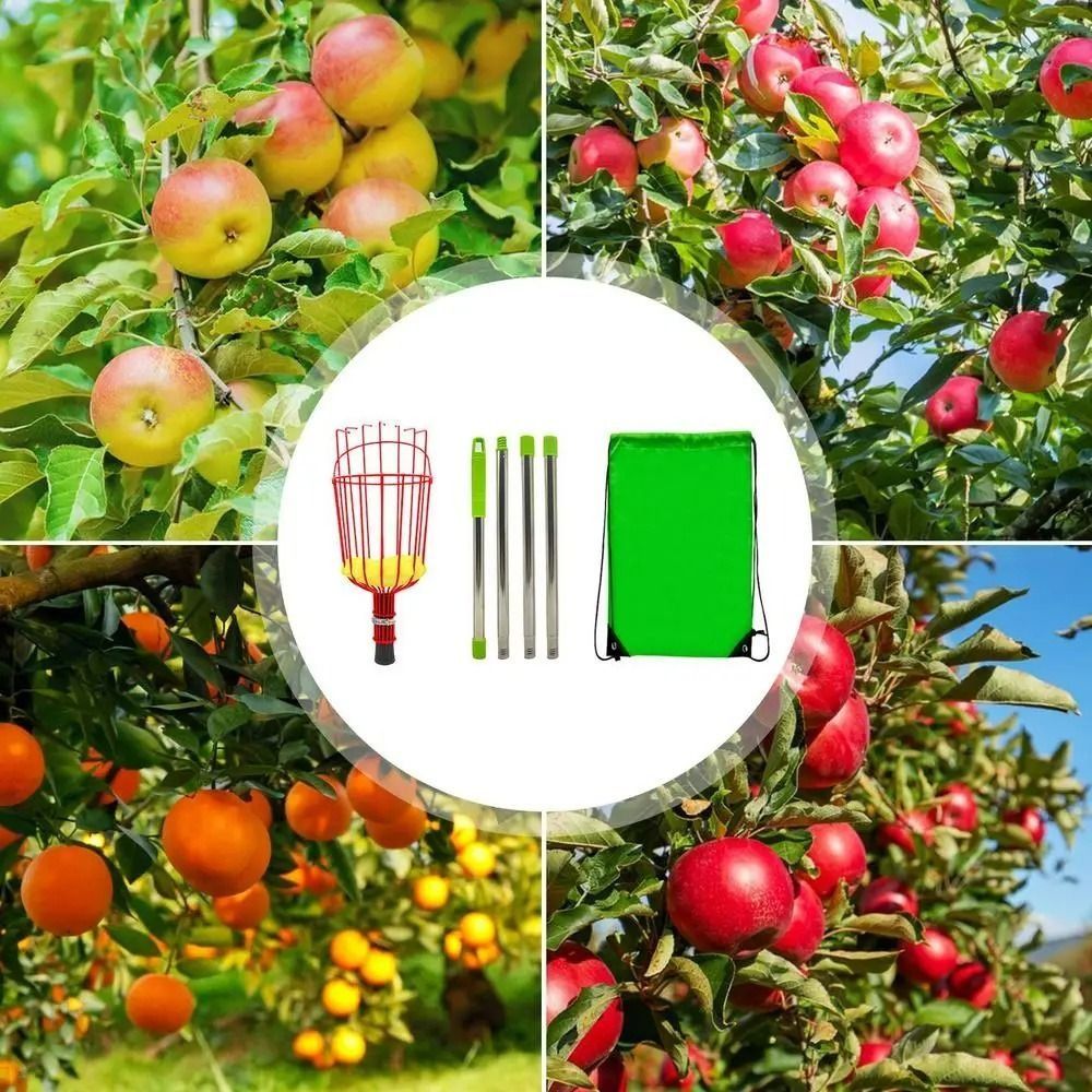 Fruit Picker Basket Telescopic Pole - with Basket Fruit Picker Pole Labor-saving