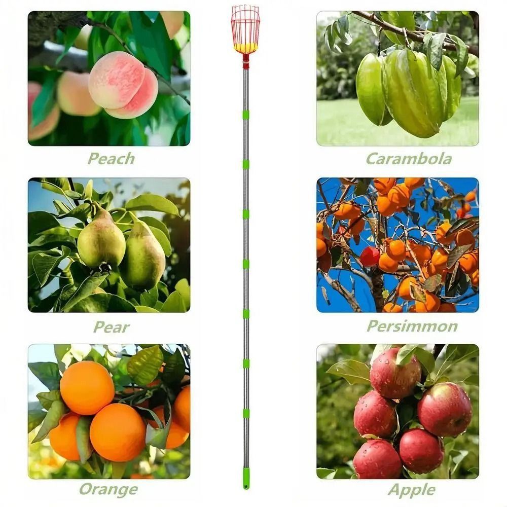 with Basket Fruit Picker Pole  - Fruit Picker Basket Telescopic Pole recension och pris