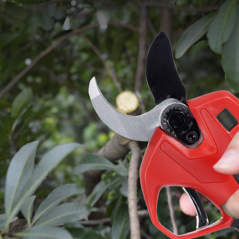 Garden Wireless Electric Pruni - Electric Pruner With Extension Pole recension och pris
