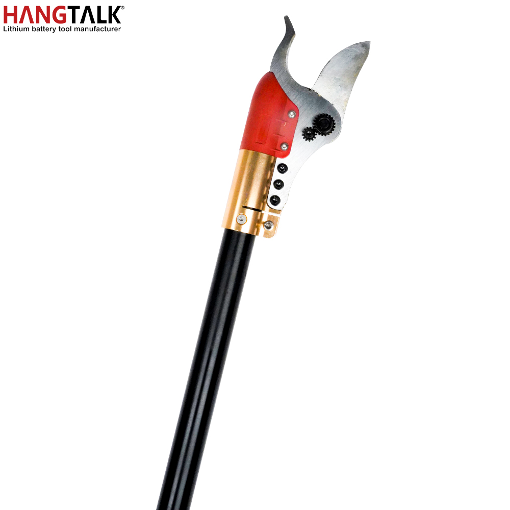 HANGTALK Professional Cordless - Electric Pruner With Extension Pole recension och pris