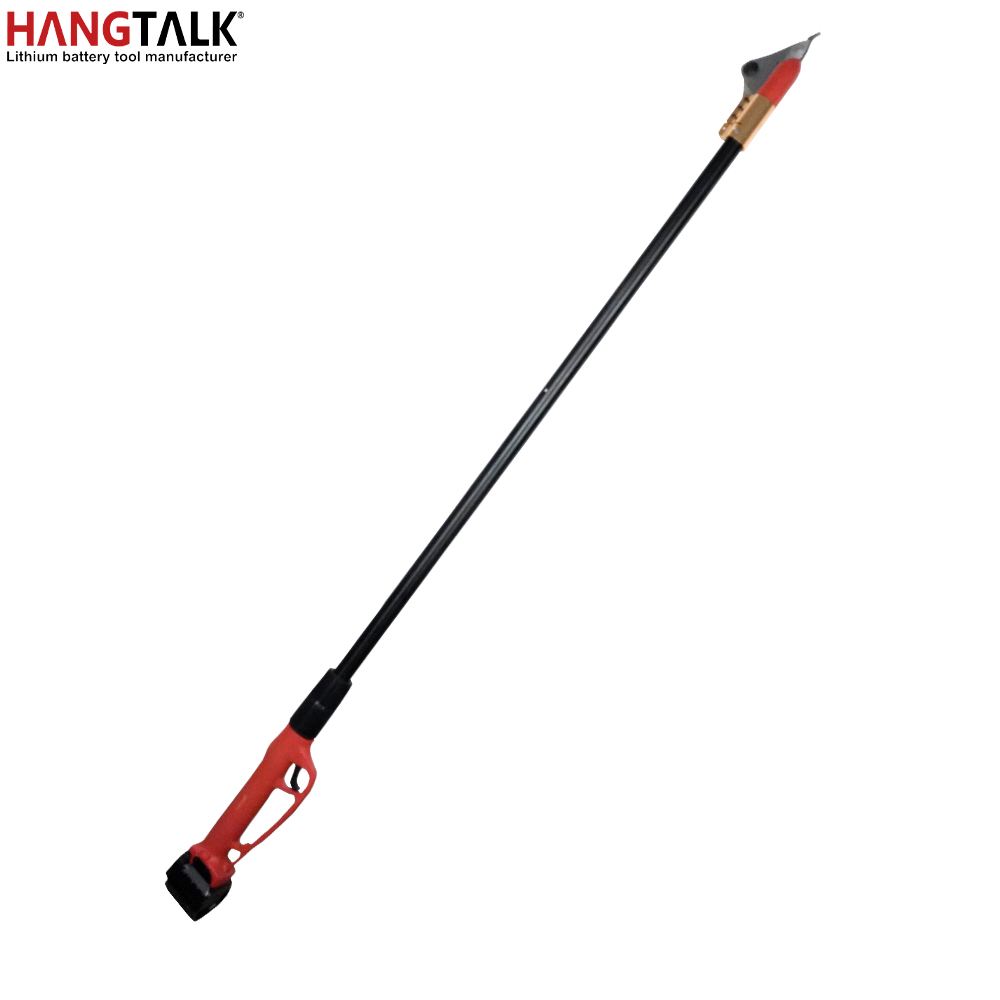HANGTALK Professional Cordless - Electric Pruner With Extension Pole recension och pris