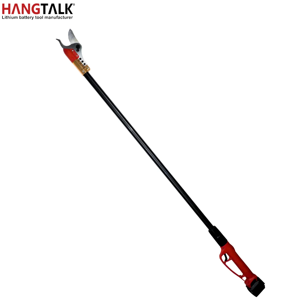 HANGTALK Professional Cordless - Electric Pruner With Extension Pole recension och pris