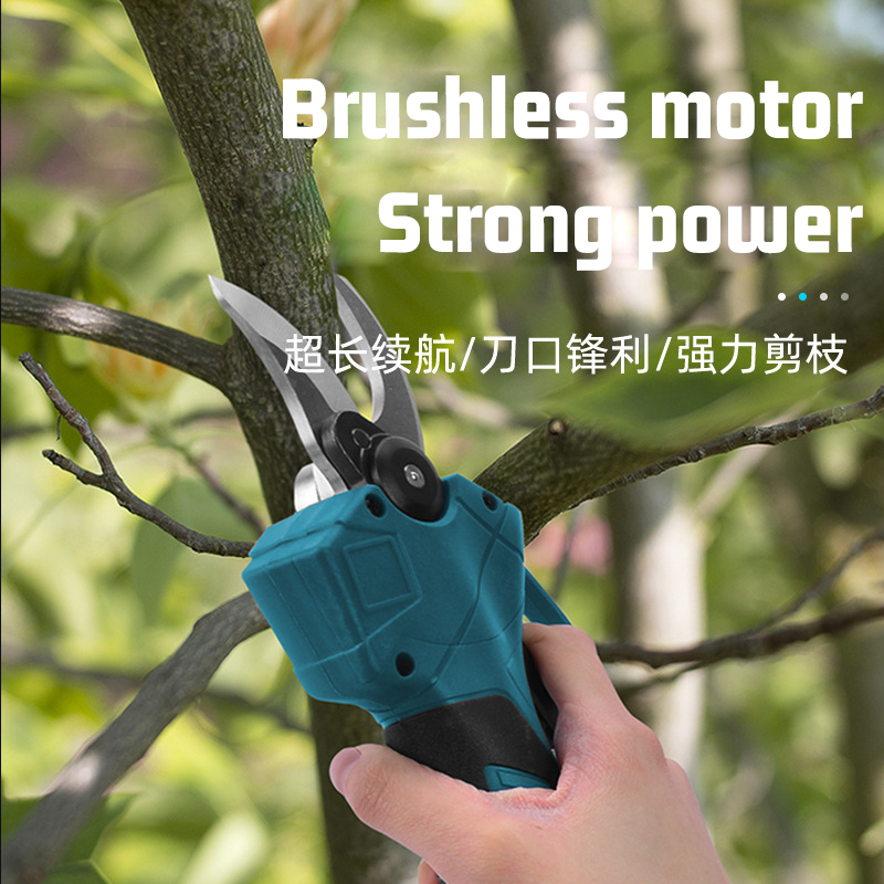 FORGEKIN Brushless Telescoping - Electric Pruner With Extension Pole recension och pris