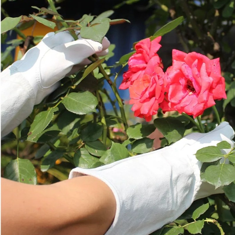 A Pair of Garden Gloves Thorn  - Gardening Gloves Thorn Proof Leather recension och pris