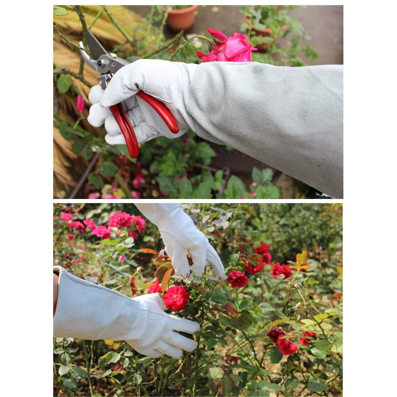 A Pair of Garden Gloves Thorn  - Gardening Gloves Thorn Proof Leather recension och pris