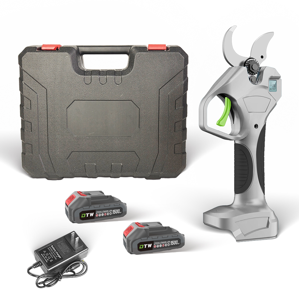 DTWA1-0029 21V Telescopic Lith - Electric Pruner With Extension Pole recension och pris