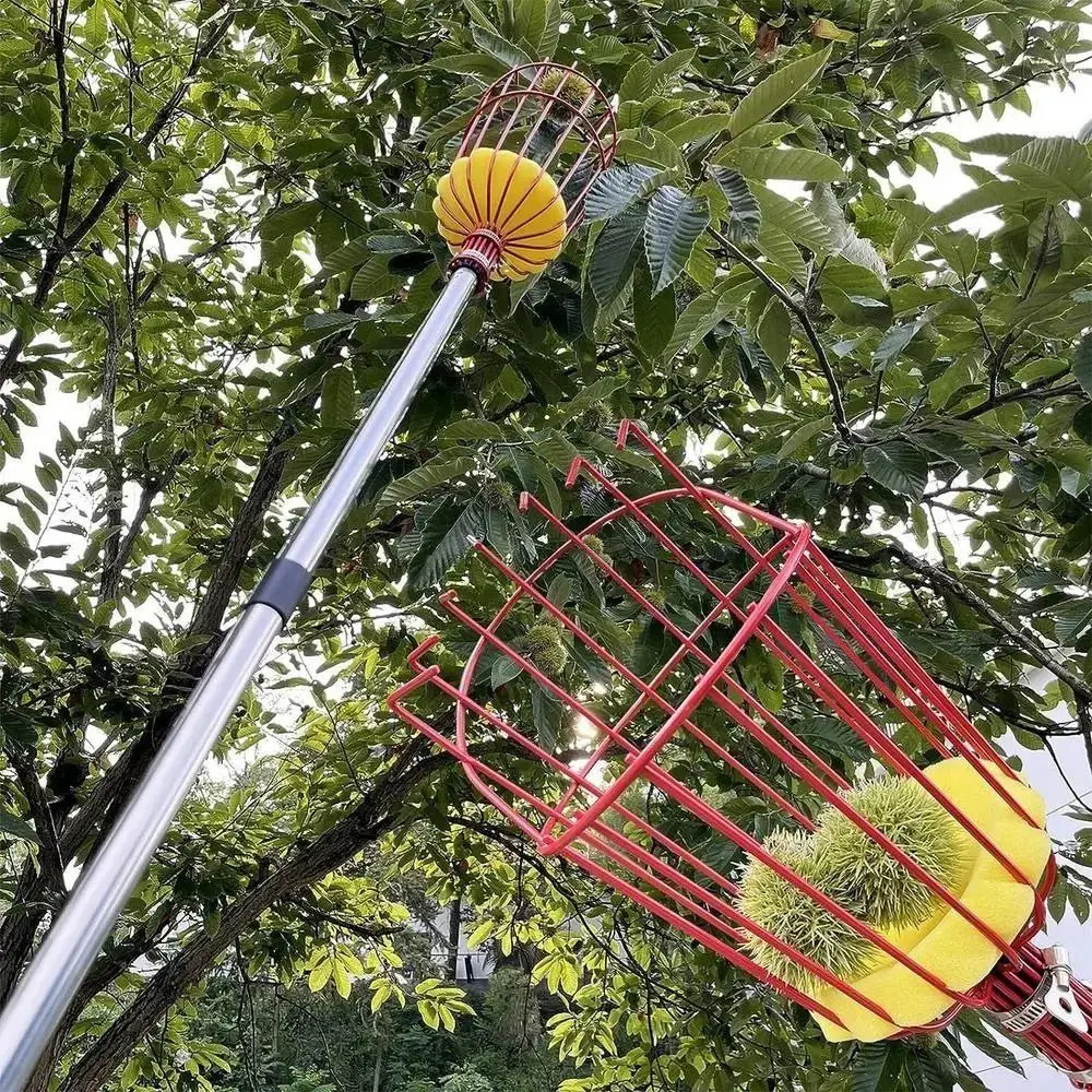 with Basket Fruit Picker Pole  - Fruit Picker Basket Telescopic Pole recension och pris