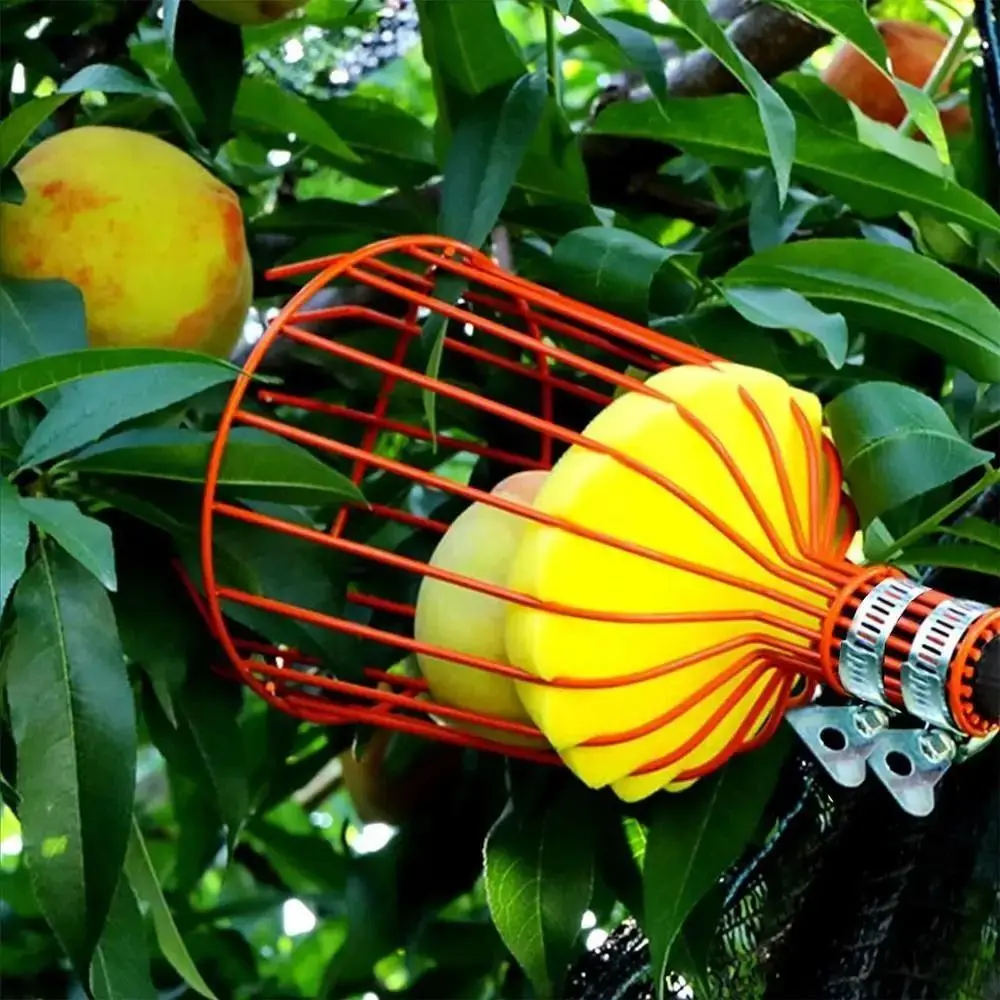 with Basket Fruit Picker Pole  - Fruit Picker Basket Telescopic Pole recension och pris