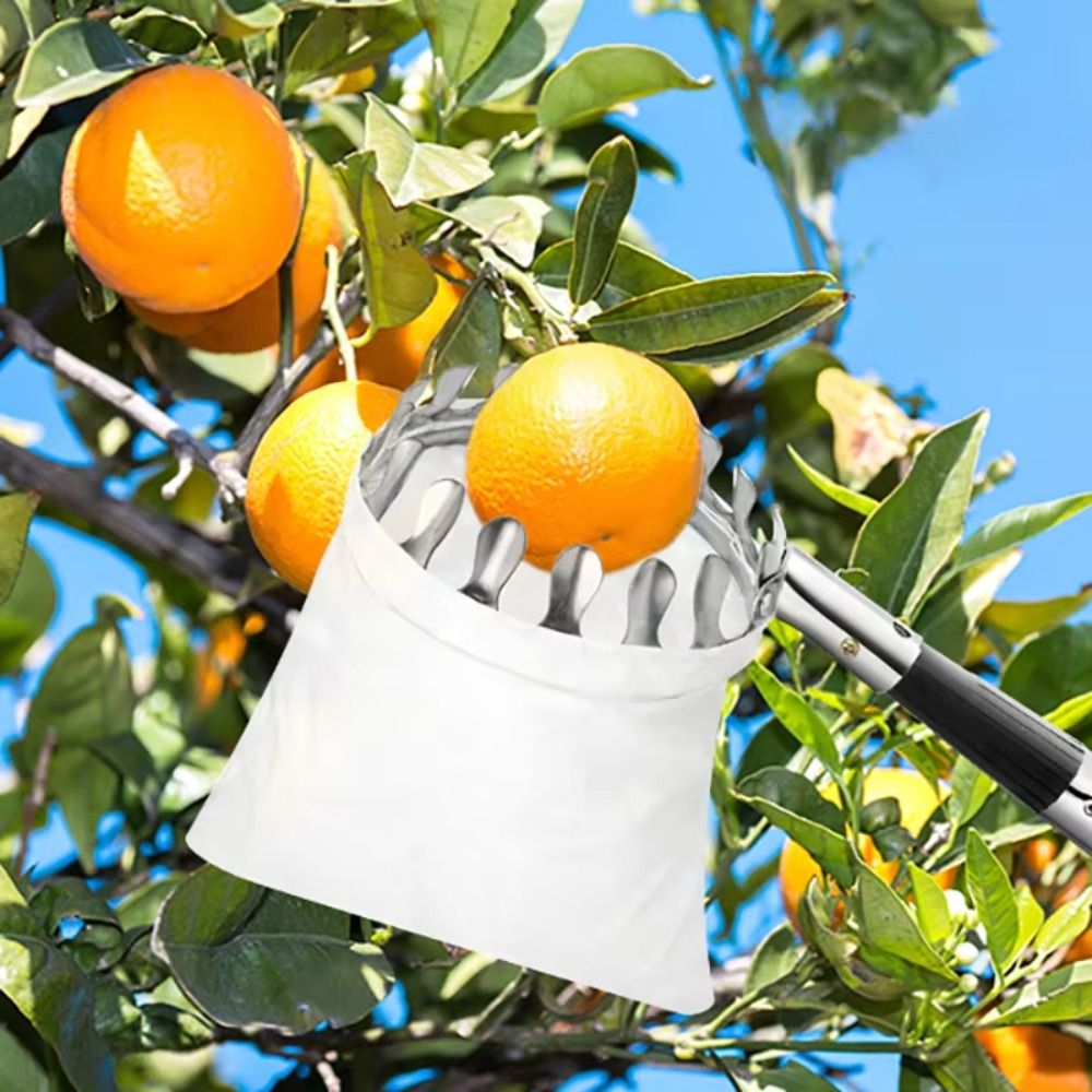 Stainless Steel Fruit Picker M - Fruit Picker Basket Telescopic Pole recension och pris
