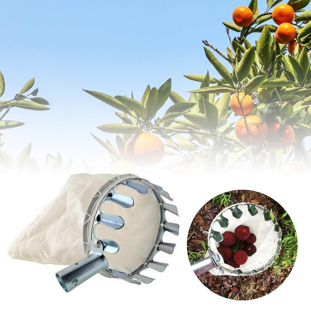 Stainless Steel Fruit Picker M - Fruit Picker Basket Telescopic Pole recension och pris