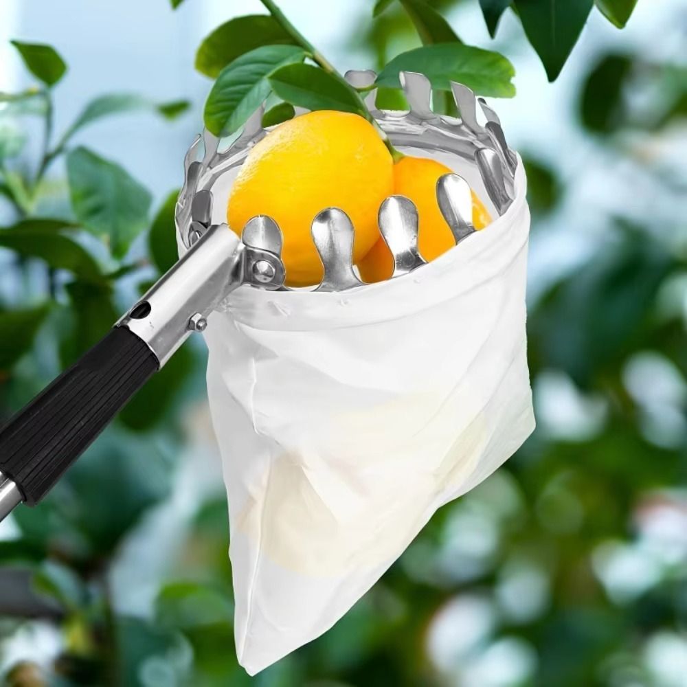 Stainless Steel Fruit Picker M - Fruit Picker Basket Telescopic Pole recension och pris