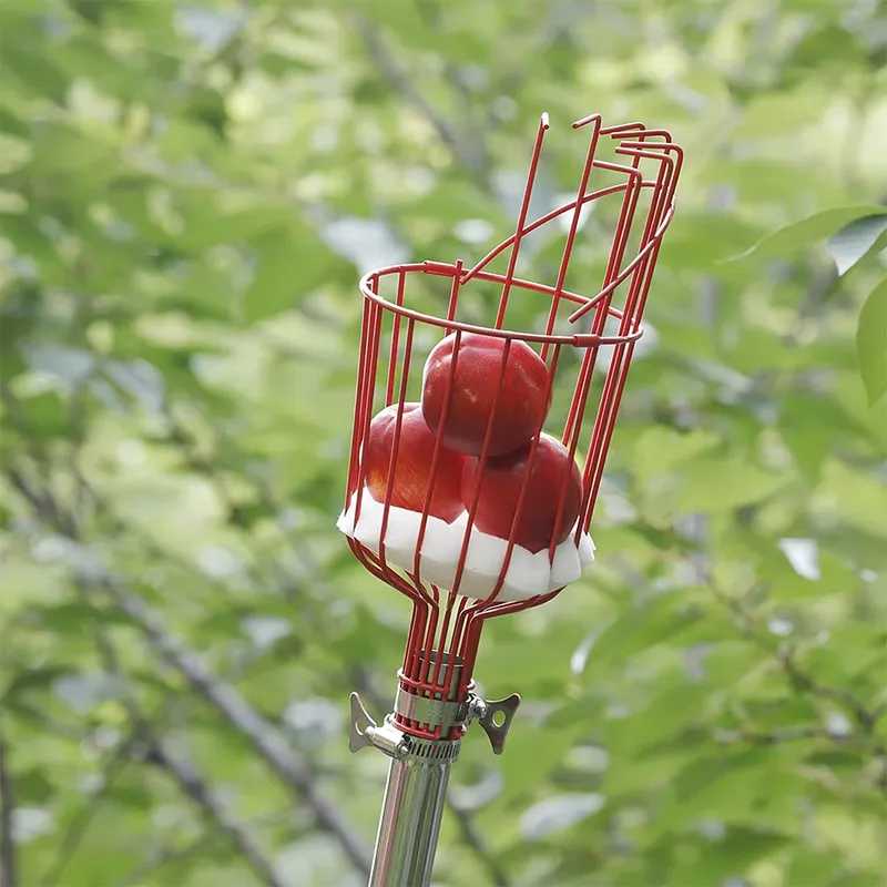 for Winslow & Ross High Qualit - Fruit Picker Basket Telescopic Pole recension och pris