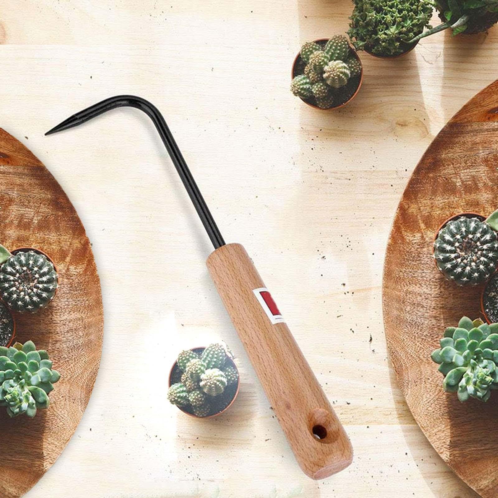Root Pick Rake Bonsai Gardenin - Root Hook Bonsai Repotting Rake recension och pris