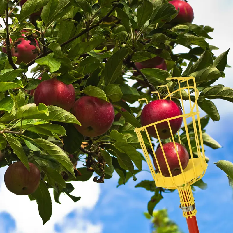 for Winslow & Ross Garden Port - Fruit Picker Basket Telescopic Pole recension och pris