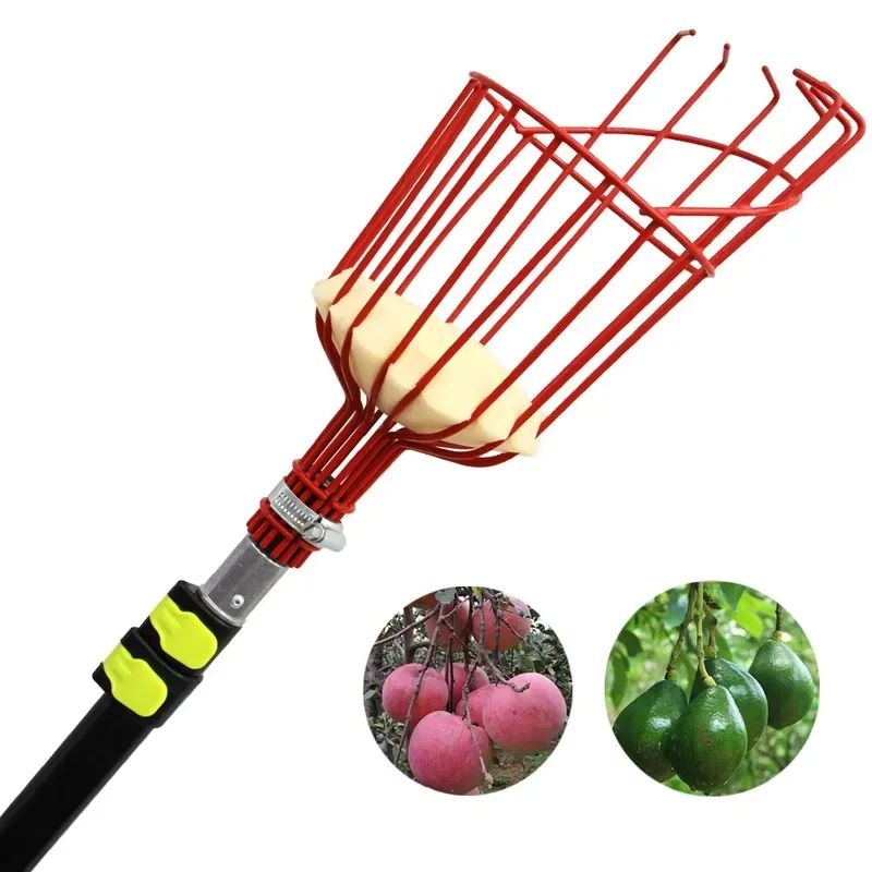 2026 Latest Fruit Picker Pole  - Fruit Picker Basket Telescopic Pole recension och pris