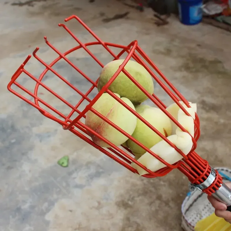 2026 Latest Fruit Picker Pole  - Fruit Picker Basket Telescopic Pole recension och pris